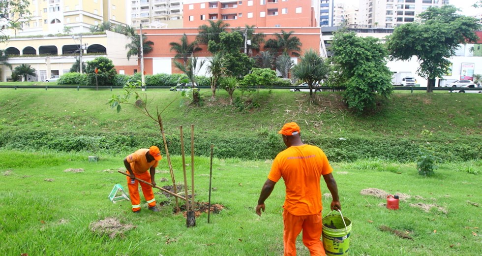 Plantio de árvores da avenida Jorge Zarur, referente à obra do Arco da Inovação. Foto: Claudio Vieira/PMSJC. 04-02-2020