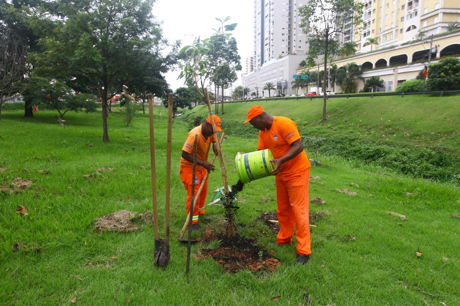 Plantio de árvores da avenida Jorge Zarur, referente à obra do Arco da Inovação. Foto: Claudio Vieira/PMSJC. 04-02-2020