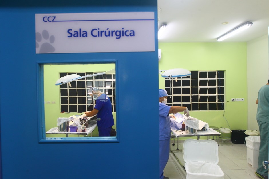 Programa Meu Pet Feliz - Castrações no centro cirúrgico do CCZ (Centro de Controle de Zoonoses). Foto: Claudio Vieira/PMSJC. 13-02-2020