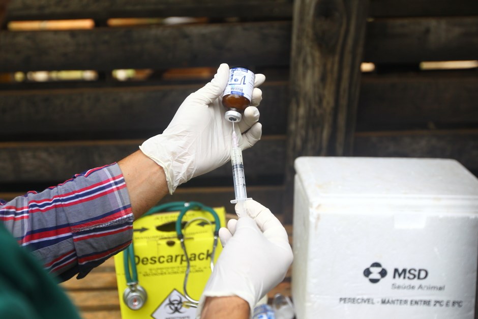 Vacinação contra a Brucelose no bairro São João região norte. Foto: Claudio Vieira/PMSJC 11-03-2020