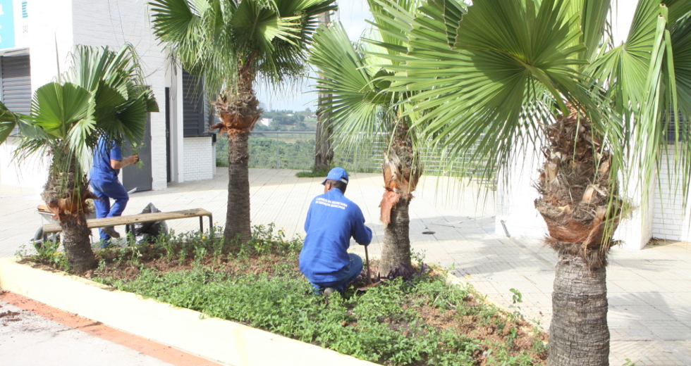 plantio_flores_jardineiras_orla_23beto_faria.jpg