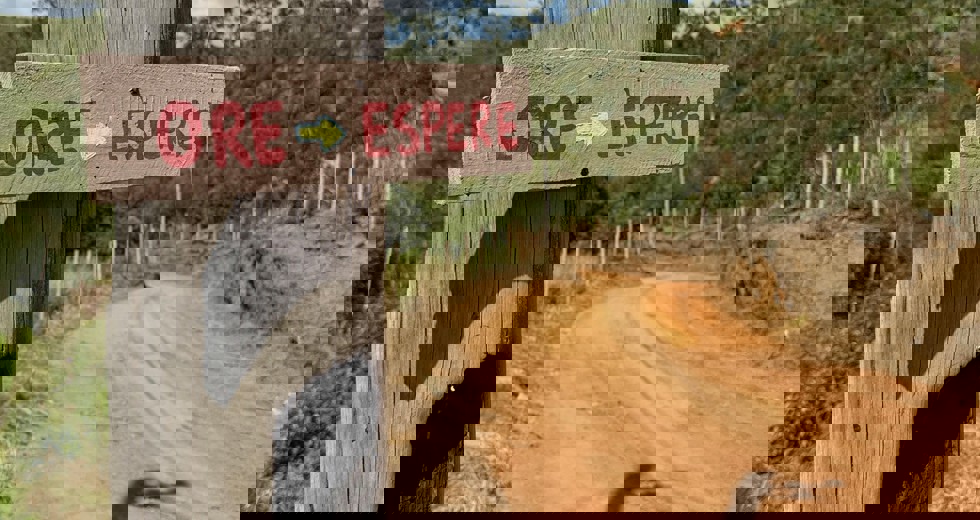 trilha5.jpg