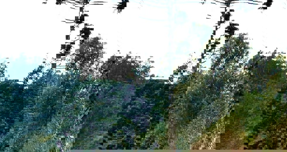 trilha9.jpg