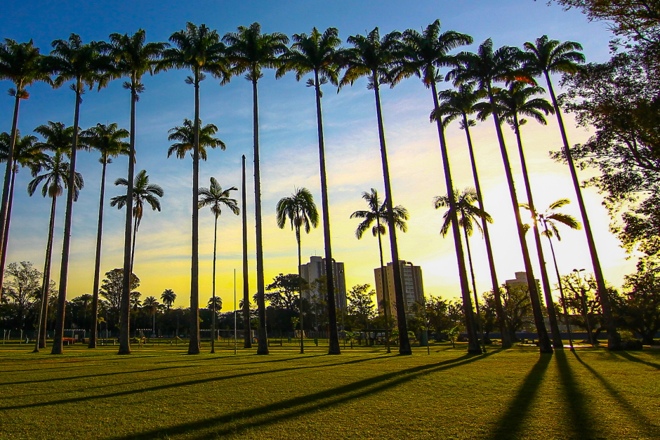parque_da_cidade-007-claudio_vieira.jpg
