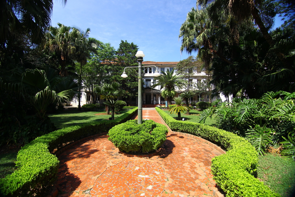 Foto: Divulgação pq-vicentina-aranha-1.jpg