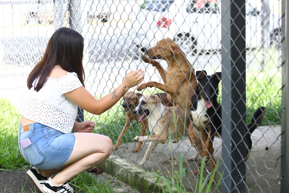 Foto: Divulgação img_3656_claudio_vieira.jpg