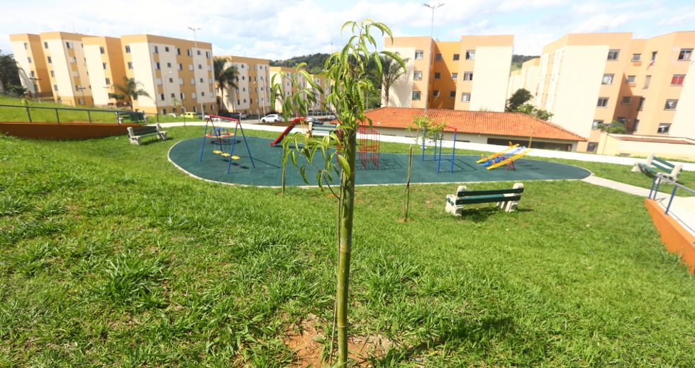 img_6635_claudio_vieira.jpg