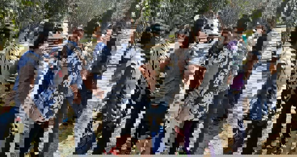 casadoidoso10.jpeg