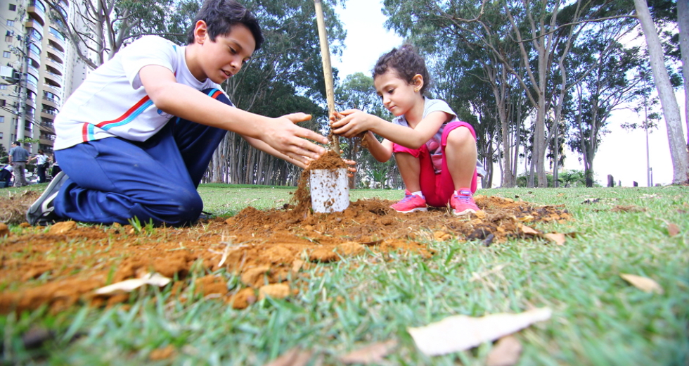 cv__4961-claudio_vieira.jpg