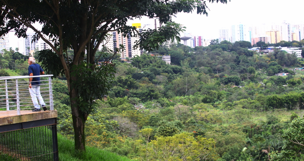cv__9078_claudio_vieira.jpg