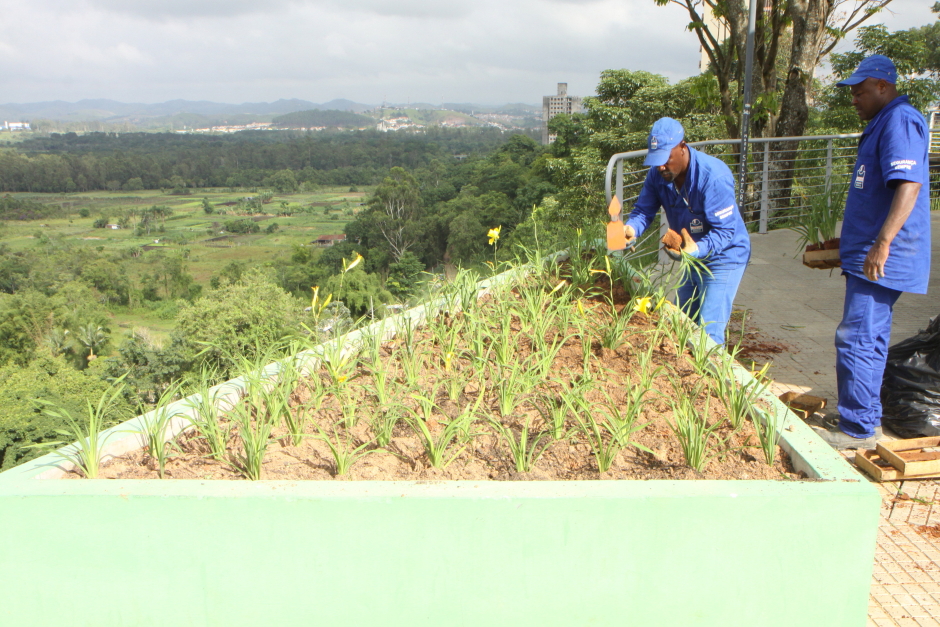 plantio_flores_jardineiras_orla_20beto_faria.jpg