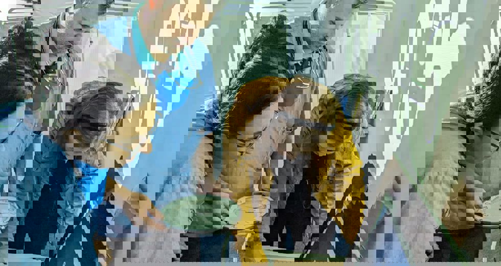 sepse-9.jpeg