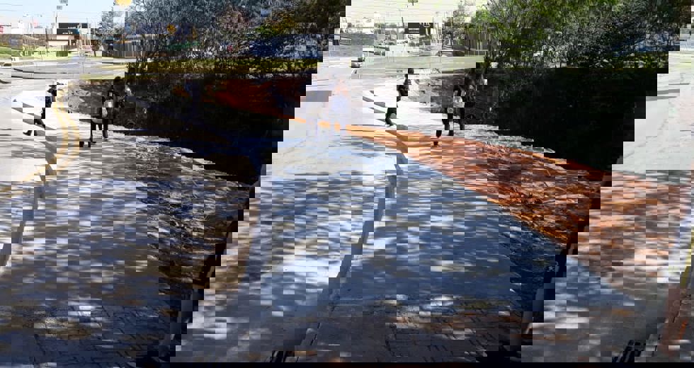 gabiao-5.jpeg
