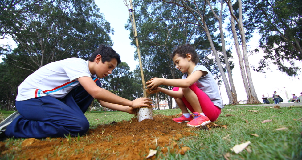 cv__4982-claudio_vieira.jpg
