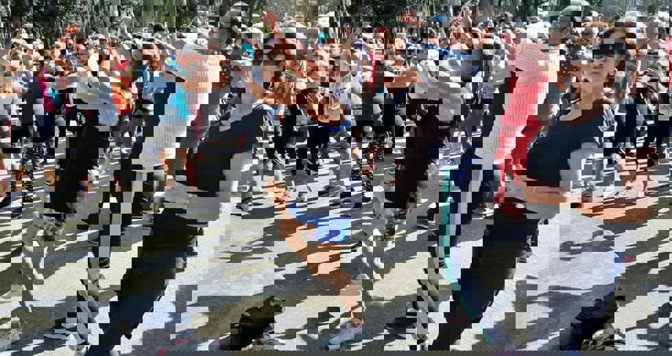 casadoidoso50.jpeg