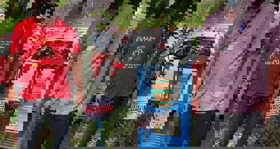 caixa-abelhas-1.jpeg