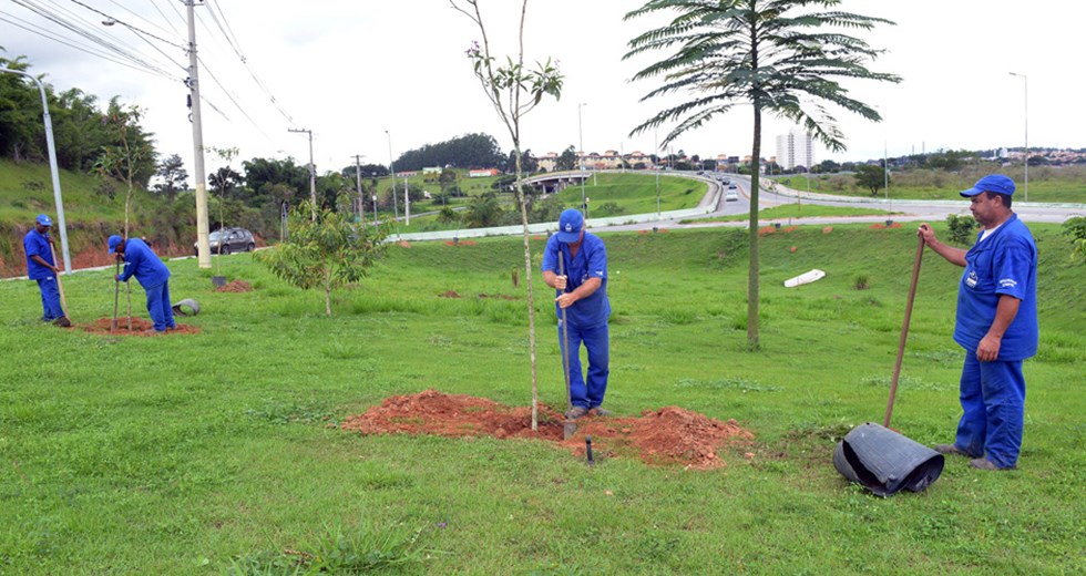 Plantio de Árvores  Avenida Marilíse Martins dos Santos  Eugênio de Melo 08 03 2018
