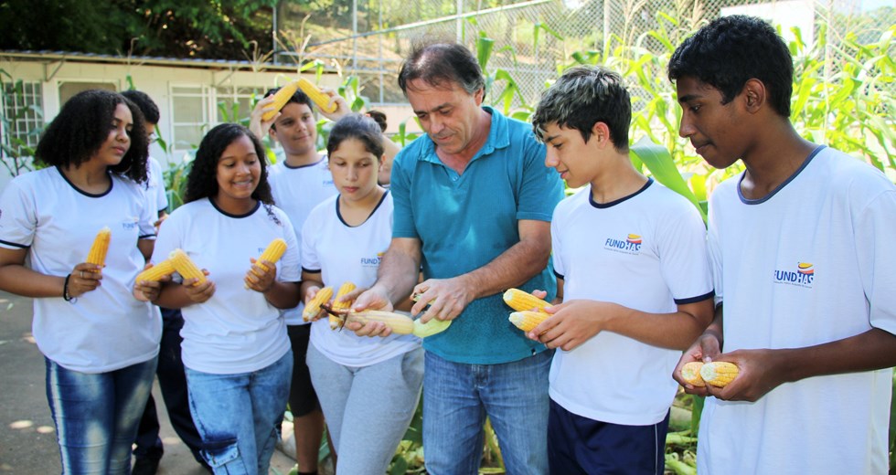 Cultivo de milho na Unidade Jorge Alegre - Fundhas 