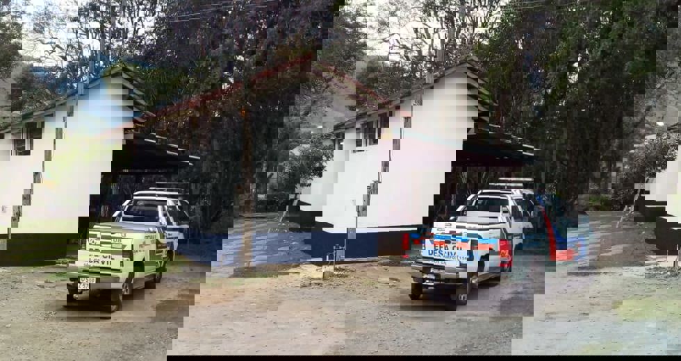 nupdecsfx6.jpeg