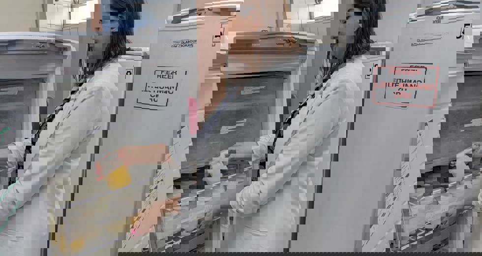 leite-5.jpeg