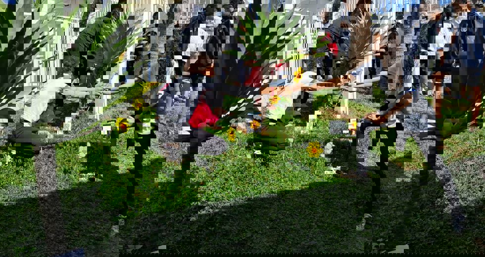 faca-bonito-6.jpeg