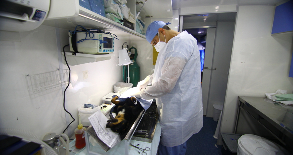 cv__9000_claudio_vieira.jpg