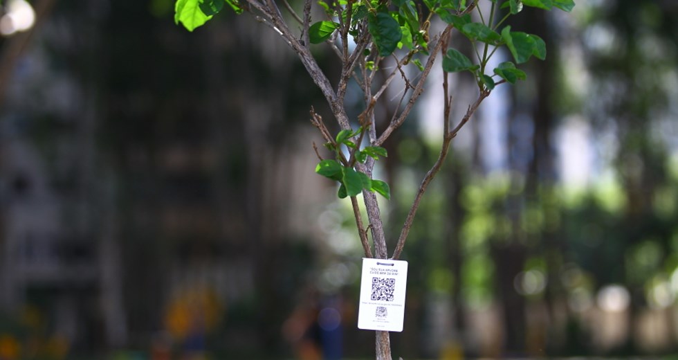 Novas árvores com QR Code na Praça Ulysses Guimarães no Jardim Aquarius. Foto: Claudio Vieira/PMSJC 10-03-2021