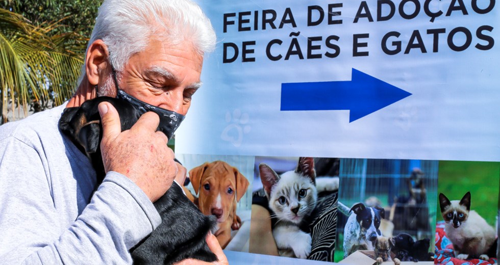 Feira de adoção de cães e gatos no CCZ