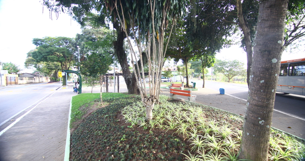 cv__3150_claudio_vieira.jpg