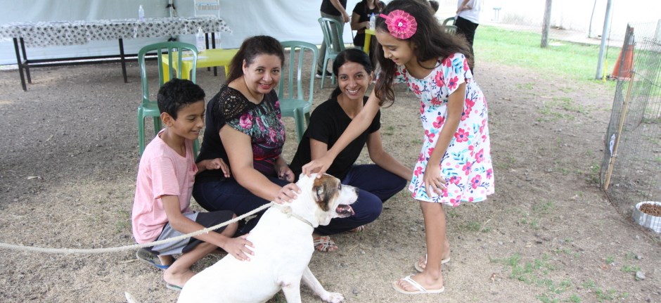 Prefeitura realiza feira de adoção de cães e gatos no sábado