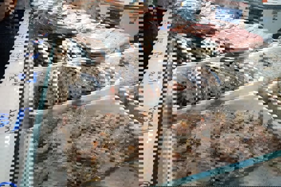 8ada0797-3168-49b1-a8c1-5eeb79b08d9a.jpg