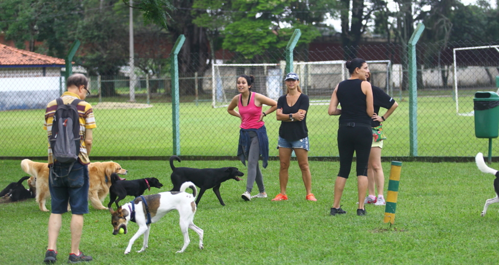 cv__4302_claudio_vieira.jpg