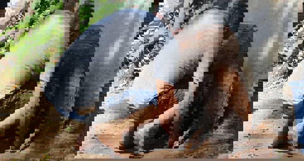 25.jpg