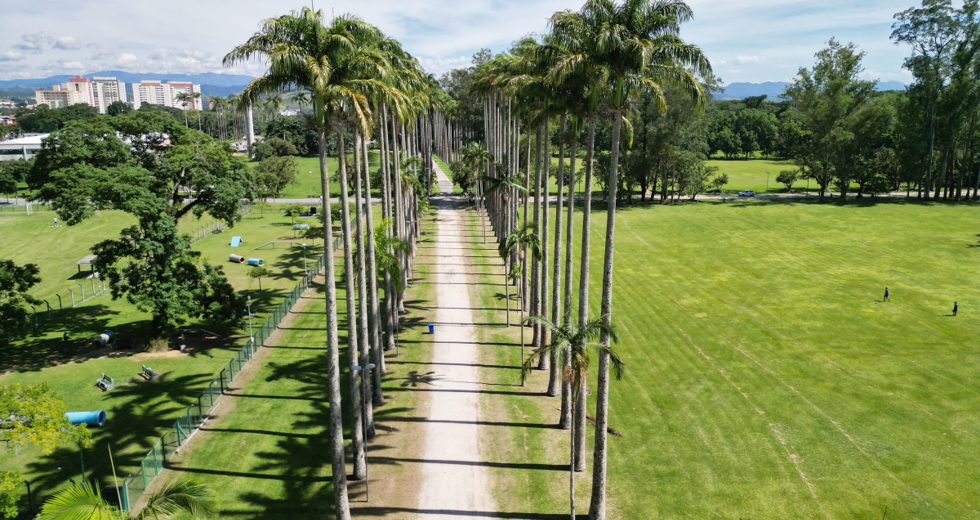 dji_0172.jpg