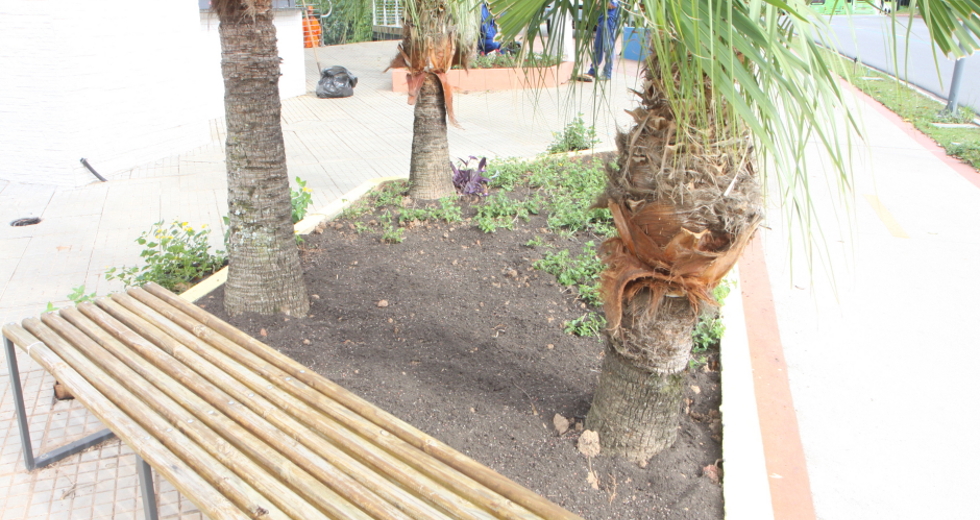 plantio_flores_jardineiras_orla_9beto_faria.jpg