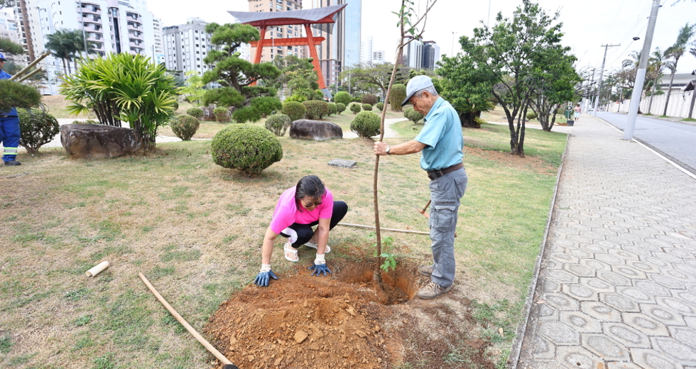 Plantio no jardim do Tori com comunidade japonesa. Foto: Claudio Vieira/PMSJC 04-10-2025