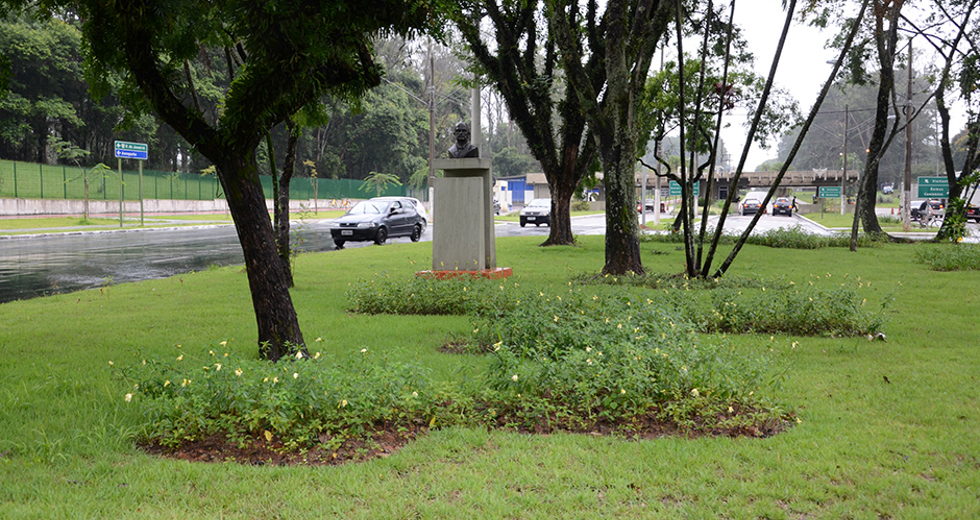 trevo-cta-revitalizado-01-03-2019-lucas-cabral-02.jpg