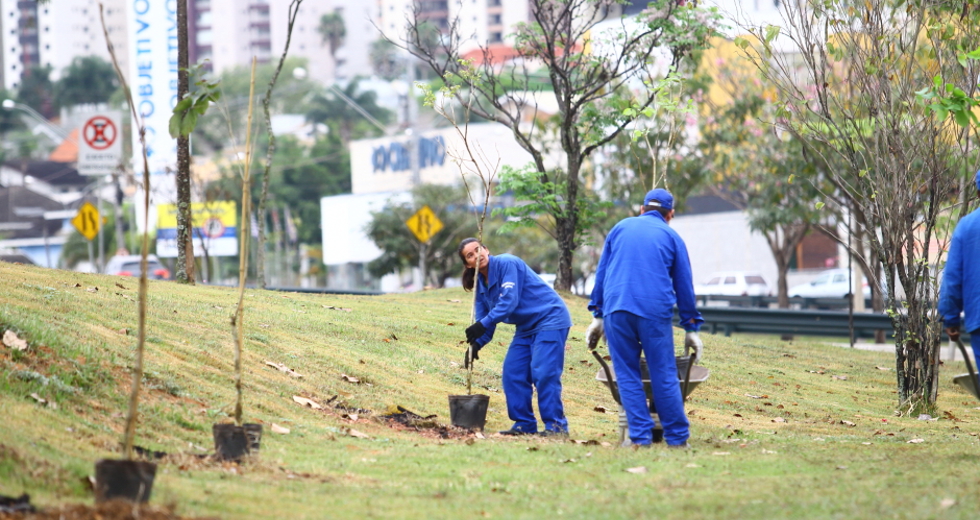 cv__8244_claudio_vieira.jpg