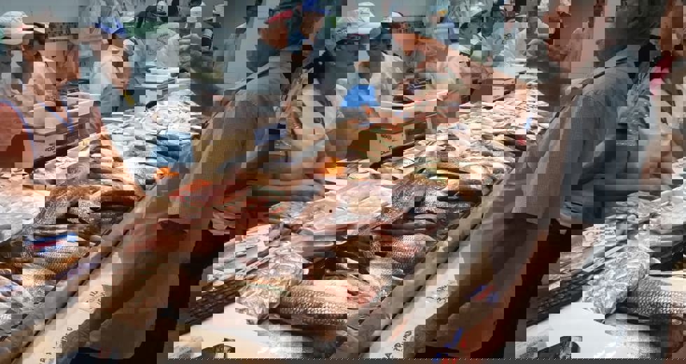 13469921-4e27-4288-9803-e861958c7fd7-1.jpg