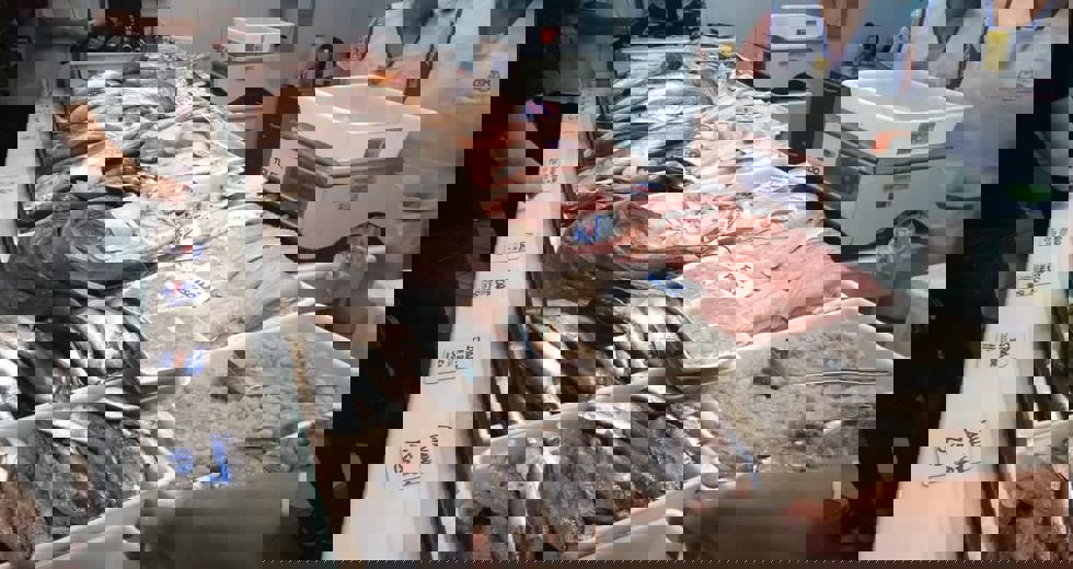 31742fea-a814-4d27-92e3-862105dc1231.jpg