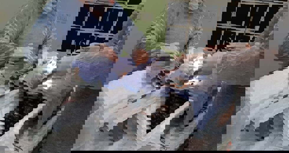 ccz-3.jpeg