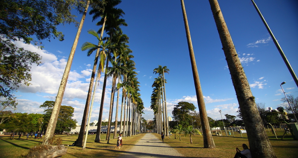 cv__0681-claudio_vieira.jpg