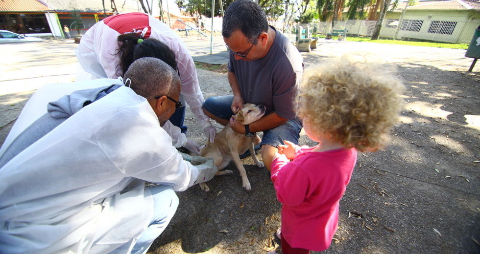 cv__7606-claudio_vieira.jpg