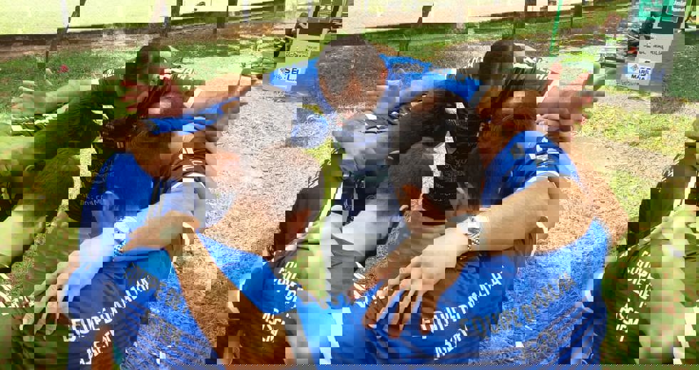 comemoracao.jpeg