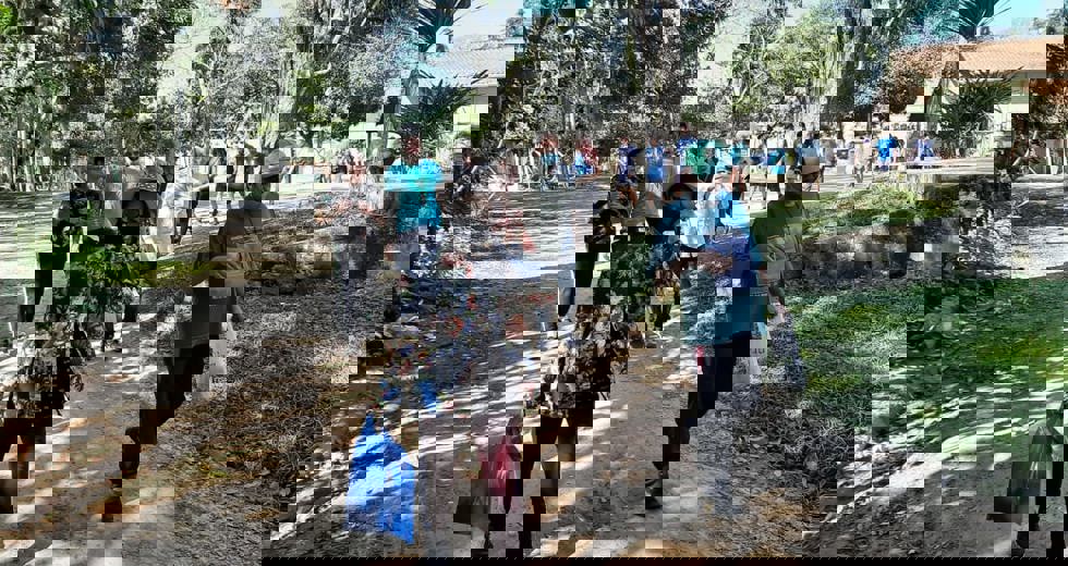 casadoidoso29.jpeg
