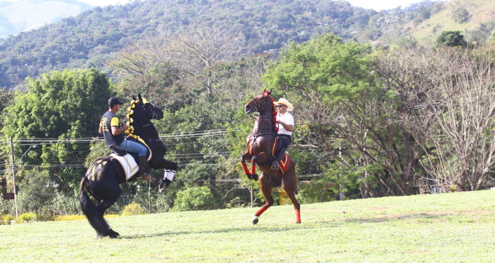 cv__4490-claudio_vieira.jpg