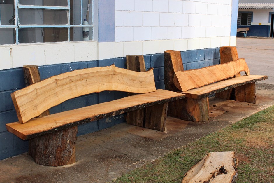 Prefeitura faz reaproveita madeira