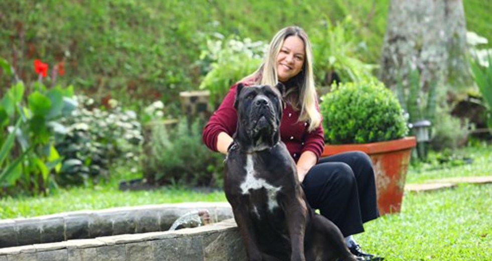 40ª fase do Meu Pet Feliz