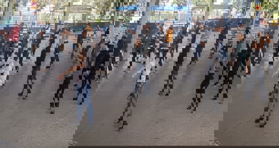 semob-4.jpg