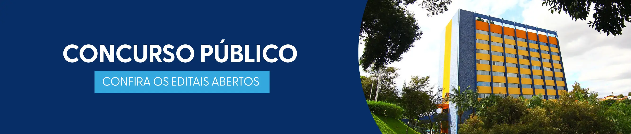 Concurso Público